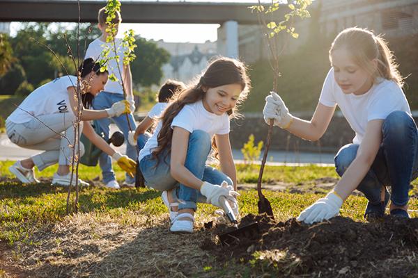 Young teens planting trees outside.
