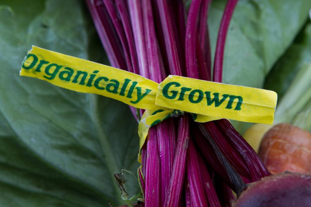 A tag that says "organically grown" attached to a vegetable.
