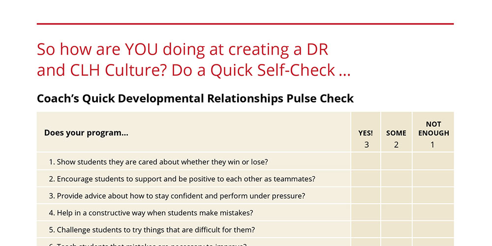 Developmental Relationships Pulse Check cover text.