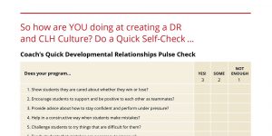 Developmental Relationships Pulse Check cover text.
