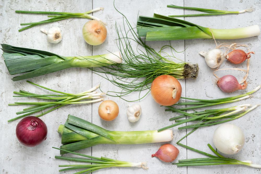 Leeks, garlic, onion, and shallots.